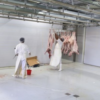Equipo de matanza de ovejas/cabras/corderos adecuado para proyecto llave en mano de matadero