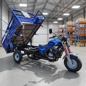 Triciclo de Carga Integral para Viñedos, Diseño Delgado y Compacto para Desplazarse entre Filas de Plantaciones de Vides en Espacios Reducidos - Product Image 2