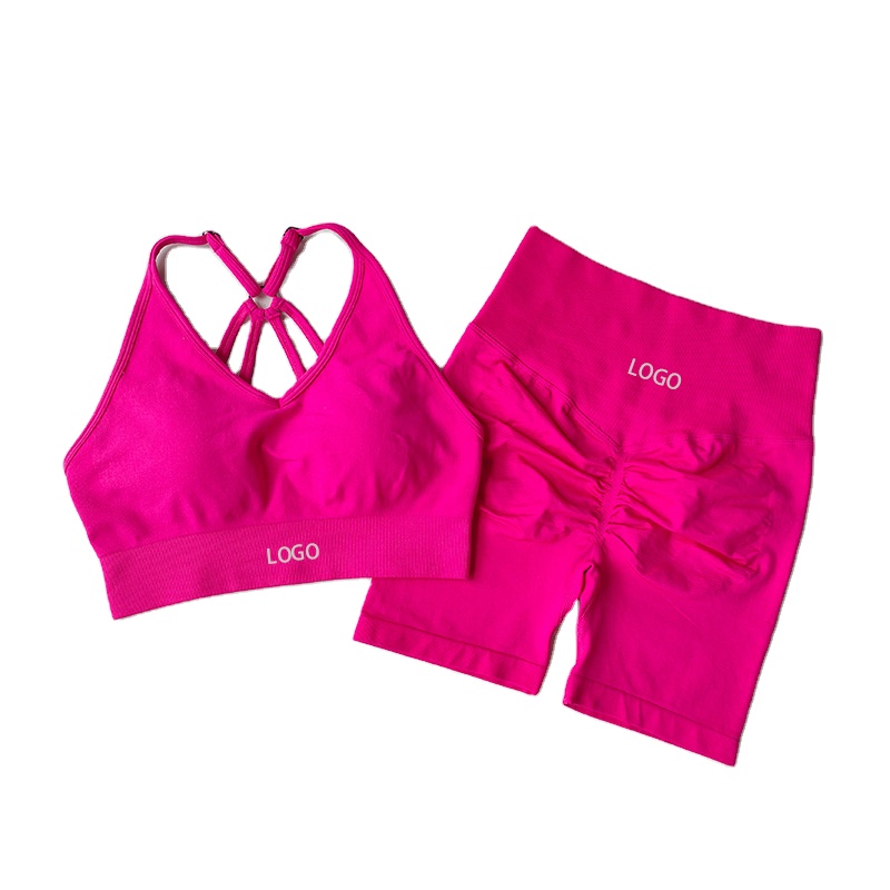 Women's Quick-Drying Fitness Set Breathable Eco-Friendly Beautiful Back Bra Yoga Suit Seamless Customized Logo Hip Lifting