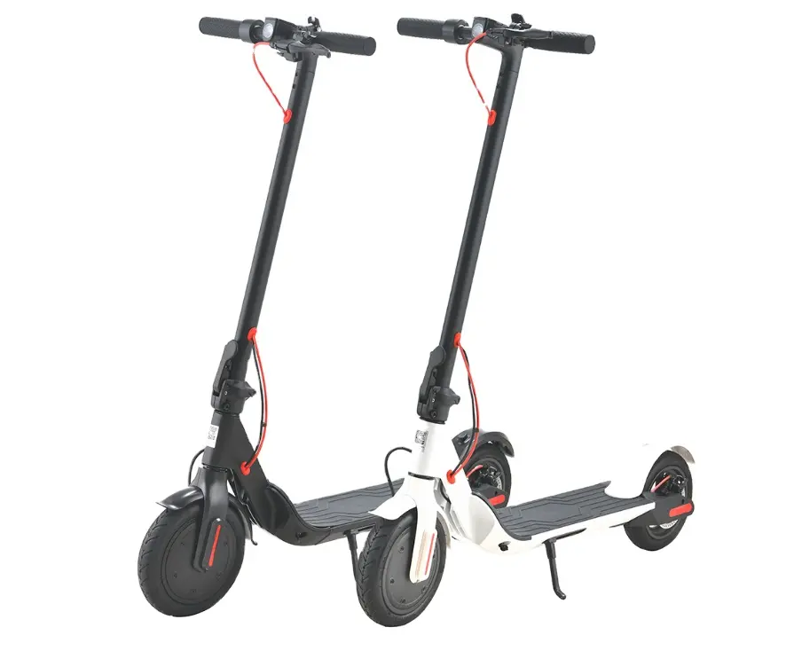 Easy to fold 36V 250W adults fast mobility electric scooter