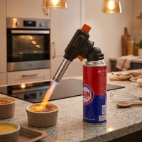 Barbecue portable moderne en métal à gaz butane pour cuisine extérieure, cuisson/cuiseur à charbon de bambou, coupe-vent et réglable
