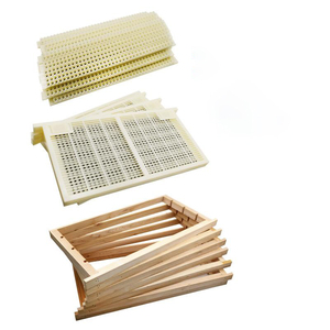 No Graft Beekeeping Queen Rearing One Plastic Cassette Honey Bee Box Beekeeper Tool