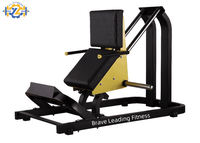 YL-3002 Appareil de musculation commercial Gymleco Hack Squat réglable style Cybex Yanre 8208 Hack Squat Leg Press pour salle de sport