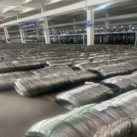 Fils en acier inoxydable 0,016 mm~5,5 mm AISI 201/202/301/304/304L/310//310S/410/420/430/904L AISI 302 Fil à ressort en acier inoxydable