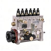 Pompe à injection de carburant Yuchai MKJ01-1111100-493 pour moteur de camion YC6M, robuste et résistante