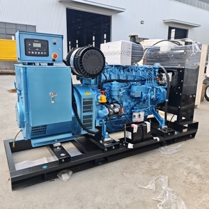 Groupe électrogène diesel silencieux Weichai 100kW 150kW 200kW 300kW avec ATS (transformation <span class=keywords><strong>automatique</strong></span>) pour usine et ferme - Product Image 2