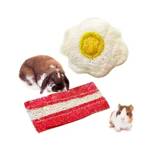 Wholesale Egg Bacon Natural Luffa Molar Chew Toys Hamster Rabbit Play Activity Teething Cleaning Chew Toys
