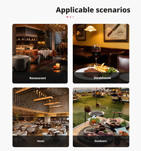 Santa Maria New Design Wood Charcoal Stainless Steel <strong>Firebricks</strong> Argentina Grill Argentine Grill - Product Image 6