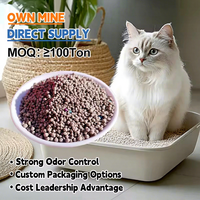 Litière pour chat en bentonite en gros : contrôle puissant des odeurs, agglomération rapide, faible poussière, anti-adhérente, pour plusieurs chats