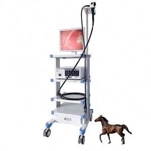 Endoscopio veterinario Video gastroscopio broncoscopy macchina endoscopia prezzo per equino o cavallo - Product Image 1