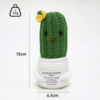 Vente en gros de jolies plantes cactus en crochet faites à la main, jouets en pot avec étiquette positive pour la décoration de la maison ou du bureau