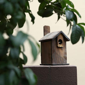 Rustik asılı bahçe ülke evler evi kuş evi dış kutup ile ahşap açık ahşap kuş yuvası - Product Image 3