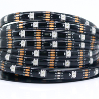 Shenzhen 5050 WS2812 Smart LED Strip Light RGB Adressable Pixels Individuels Connectivité USB Cuivre DC5V TV Éclairage de fond