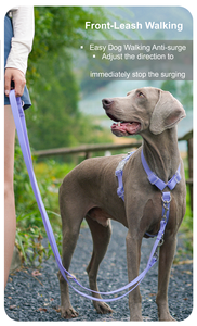 XL púrpura impermeable en forma de Y arnés para perros transpirable y reflectante estilo de moda Simple y elegante al por mayor OEM ODM - Product Image 5