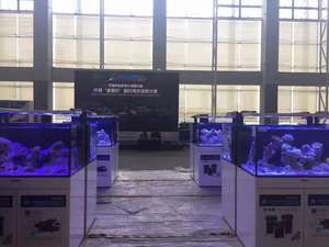 Fabrikant Nieuw Materiaal Hoge Transparantie Kristalhelder Acryl Glas Groot Vis <span class=keywords><strong>Aquarium</strong></span> - Product Image 3