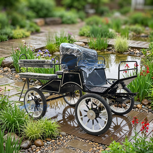 Nouvelle carrosse à chevaux en acier pour marathon, chariot touristique à 4 roues, capacité de 6 personnes, sièges en cuir souple - Product Image 1