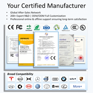Connettore <span class=keywords><strong>EV</strong></span> Longood Adattatore CCS2 CHAdeMO per Nissan Leaf Giappone Ricambi Auto Elettriche CHAdeMO DC Convertitore Ricarica Rapida CCS2 Prezzo all'Ingrosso - Product Image 5