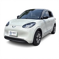 Auto Usado Wuling Bingo Año Modelo 2023 2024 2025 Edición Conexión Inteligente con Autonomía Eléctrica Pura CLTC