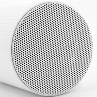 L'amplificateur de système de sonorisation audio haut de gamme utilise un haut-parleur suspendu intérieur extérieur IP55 haut-parleur de lecture de musique professionnel