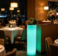 Pot de fleurs cylindrique vertical lumineux IP65 avec seau éclairé par LED pour hôtels, restaurants, fêtes, jardins