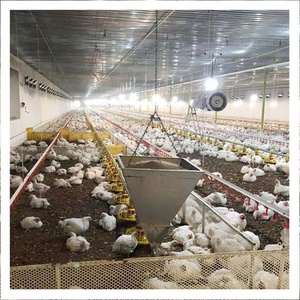Ticari kanatlı ekipmanları zemin yetiştiriciliği sistemi için Broiler tavuk ev - Product Image 1