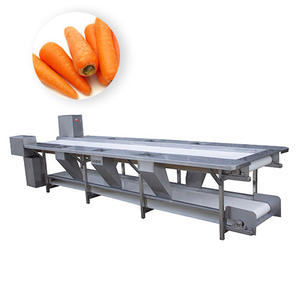 Fabrika ucuz fiyat endüstriyel paslanmaz çelik patates soğan elma domates sebze meyve toplama seçme konveyör - Product Image 1