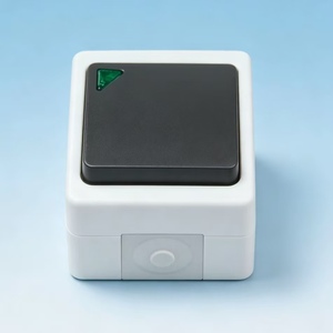 Enchufe de Pared Valiant IP54 de 1 Vía y 2 Polos con Indicador LED, Certificación CE, 16A 250V, para Establos Ecuestres Modernos - Product Image 2