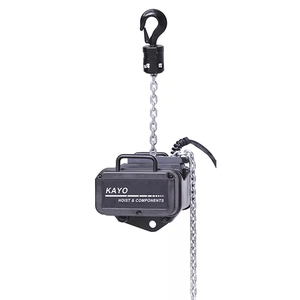 <span class=keywords><strong>Hoist</strong></span> Panggung Listrik 500kg Kecepatan Angkat Tinggi Desain Rendah Kebisingan - Product Image 3
