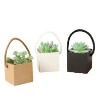 Boîte d'emballage en papier kraft Xiyu pour plantes vertes - Boîte en papier carrée miniature pour plantes succulentes en pot, imperméable et portable
