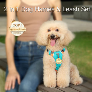 Modische Hundeleine aus Kunststoff mit Integriertem Brustgeschirr, Bändern, Automatischer Einziehfunktion, Explosionssicher, Umweltfreundlich, mit Aufdruck, für Kleine Hunderassen - Product Image 5