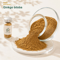 Extrait de Ginkgo Biloba 10:1 de qualité alimentaire, poudre d'extrait de Ginkgo en vrac pour les marchés d'exportation