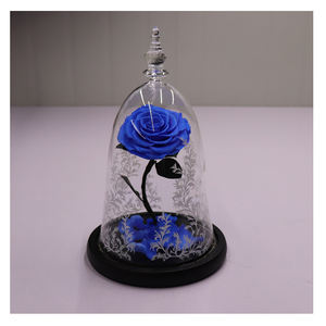 Kuning-cúpula de cristal con luces led, flor de <span class=keywords><strong>la</strong></span> bella y <span class=keywords><strong>la</strong></span> <span class=keywords><strong>bestia</strong></span>, flor preservada de bella Rosa duradera - Product Image 2