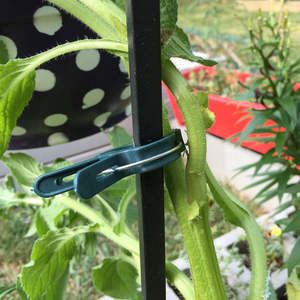 Clips de fixation pour plantes en plastique, supports de branches de plantes, clips de jardin pour maintenir ou redresser les plantes sur un treillis - Product Image 5