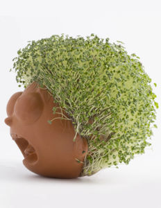 <span class=keywords><strong>Rick</strong></span> <span class=keywords><strong>Morty</strong></span> Fun Grow Chia Pet, Pequeño <span class=keywords><strong>Morty</strong></span> Decorativo, Maceta Bonsái para Interiores/Exteriores, Fácil de Colgar, Aplicación en Centros Comerciales - Product Image 1