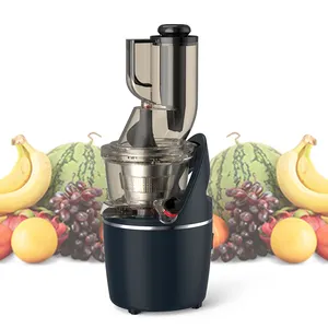 Hot sale multi-purpose pineapple apple carrot juice maker masticating high juice yield cold press slow juicer machine
