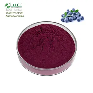 Heidelbeerex trakt Pulver Gesundheit Antioxidans Ergänzung Hot Selling 25% Anthocyanin Heidelbeerex trakt