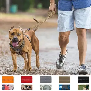 Kolay kontrol ve rahat yürüyüş köpek tasma için özel naylon Bungee köpek tasma stoklanan Pet kurşun
