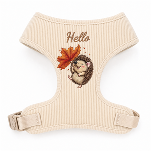 Ensemble personnalisé de harnais, collier et laisse pour chien – Accessoires pour animaux de compagnie personnalisé<span class=keywords><strong>s</strong></span> – Gilet pour chien tendance automne-hiver – Harnais réglable – OEM – Faible MOQ - Product Image 1