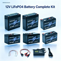 Batterie LiFePO4 rechargeable 12V 30Ah 50Ah 60Ah 100Ah 120Ah pour camping-car, camping, marine, onduleur