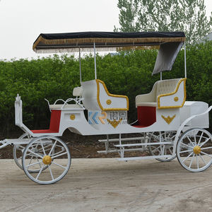 Fantastique carrosse électrique de style européen Victoria, carrosse de conte de fées en acier tiré par des chevaux pour le camping et les visites touristiques - Product Image 2