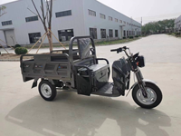 Véhicule de fret électrique chinois à trois roues à deux places avec cadre en acier Tuk Tuk Tricycles pour livraison