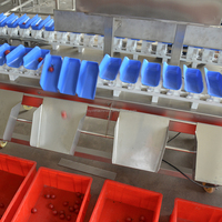 Conditie Kersen Bosbessen Fruit Sorteerder Draaitafel Weegt Screening Machine Zeevruchten Noot Separator Sorteerder Gram Screening Machine