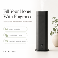 Diffuseur d'arômes rechargeable sans eau 100 ml, nébuliseur d'huiles essentielles pures, minuterie 8h, pour la maison, la chambre, le bureau, cadeau, OEM, noir, argent