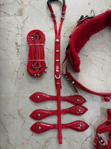 Ensemble de harnais de conduite pour cheval en PVC rouge avec collier et laisse - Product Image 5