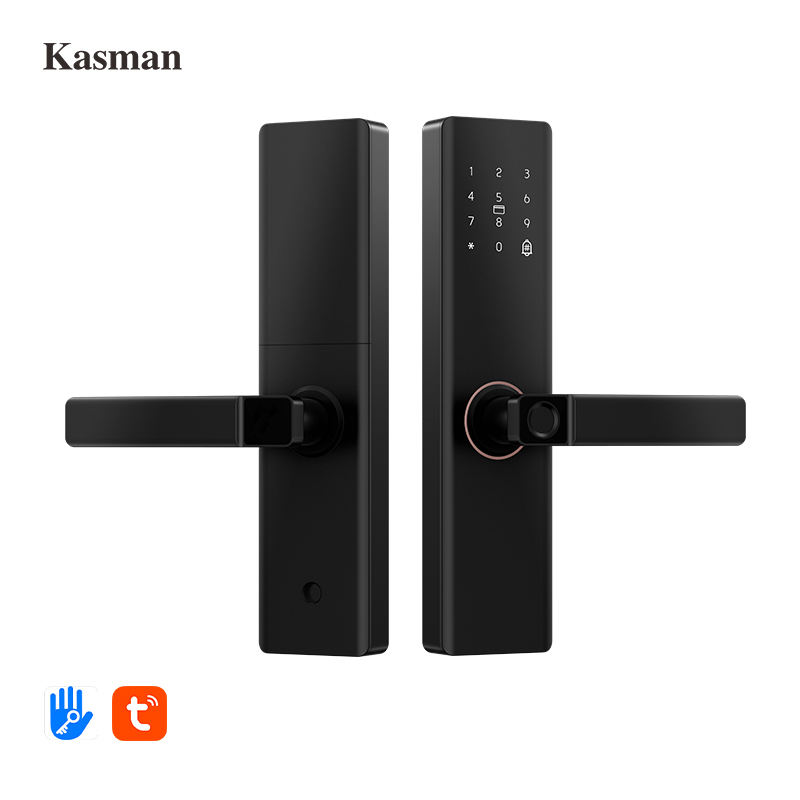 Door Lock Indoor Security