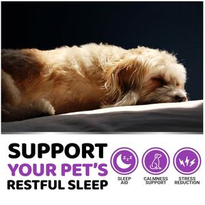 Hızlı kargo tüm ırklar için bağışıklık sağlık ve rahatlama köpek sakinleştirici Chews Pet takviyesi destekler - Product Image 2