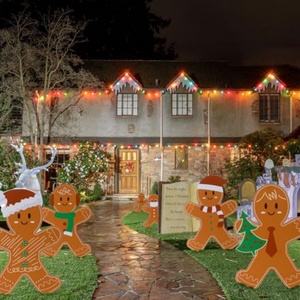 Letreros de jardín de jengibre navideños con estacas, material PP, corte personalizado, decoración para césped y jardín, para exteriores y hogar en época navideña - Product Image 6