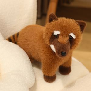 Penjualan laris mainan mewah rakun Amerika Selatan boneka binatang binatang kebun binatang mainan hewan rakun realistis lembut hewan - Product Image 4