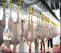 Máquina de Aspiración de Pulmones de Aves de Corral en Mataderos