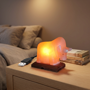Lampe USB miniature en sel rose de l'Himalaya naturel de haute qualité 2025, sculptée, écologique, diffuseur de lampe en sel naturel - Product Image 1